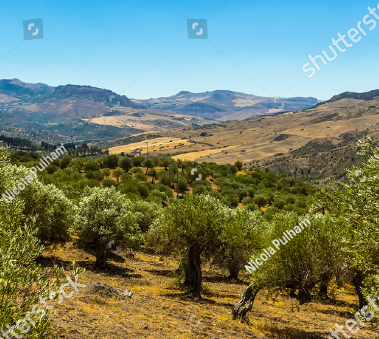 tenuta-3